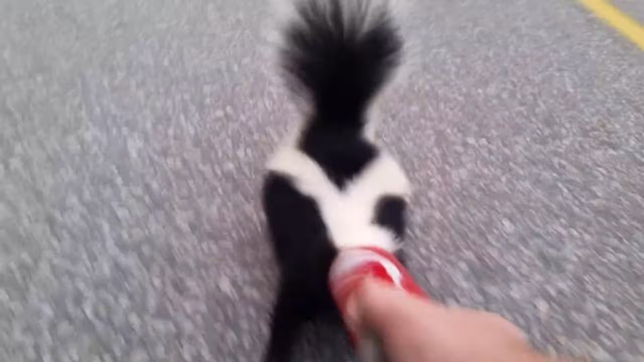 |