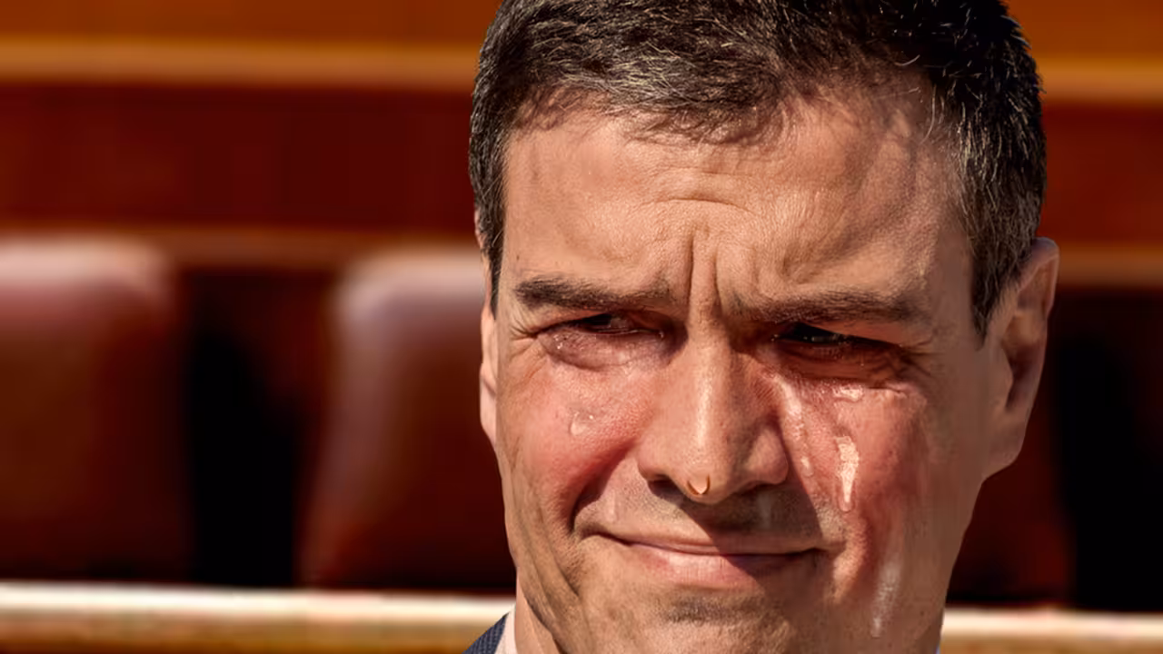 pedrosanchez_elpsoepartidoendos