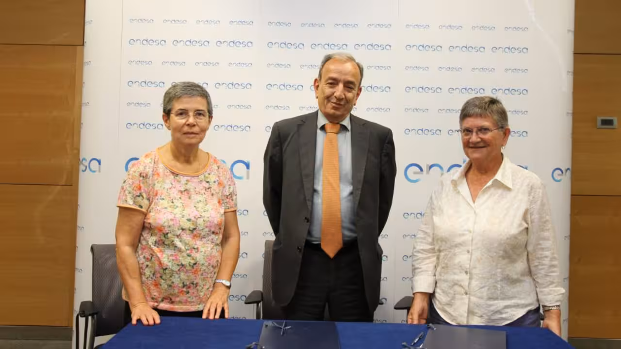 Endesa con Naüm