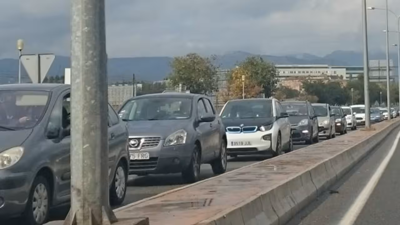 colapso palma