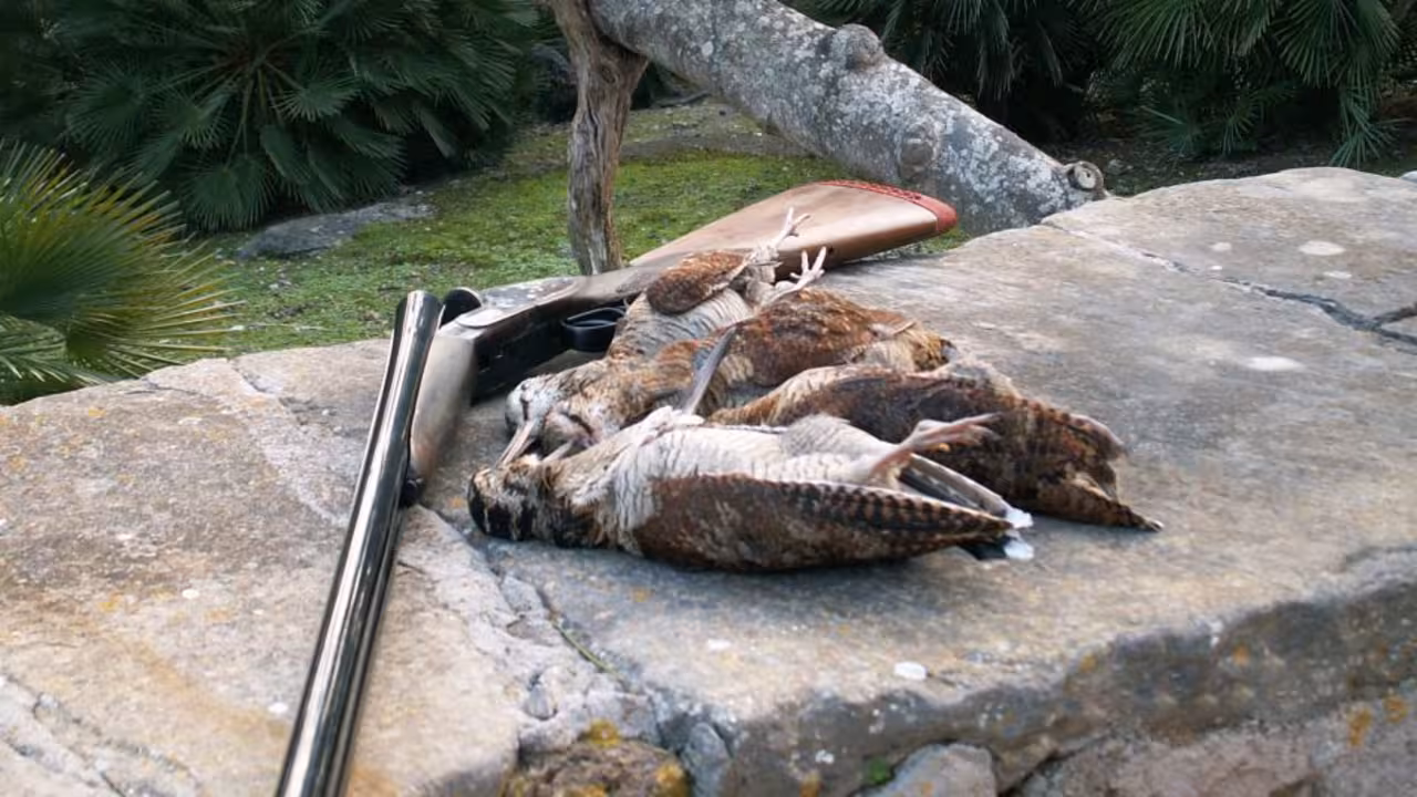 Caza en Baleares
