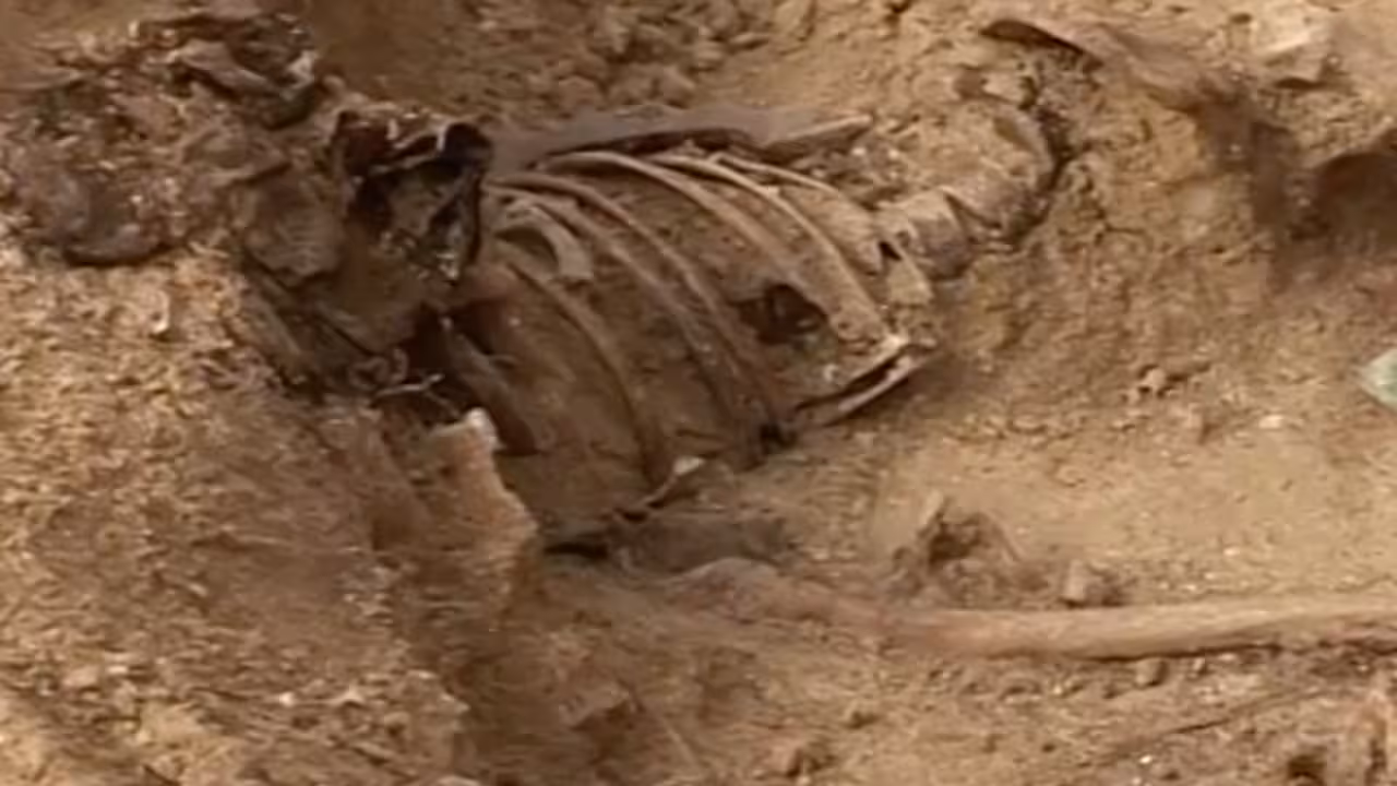 restos humanos en la fosa de porreres