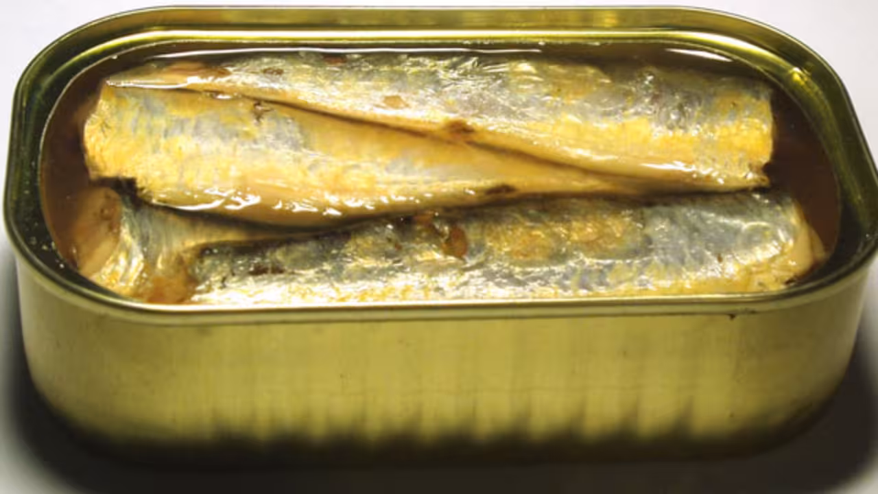 lata de sardinas