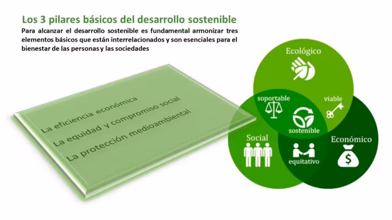 Los 3 pilares básicos del desarrollo sostenible