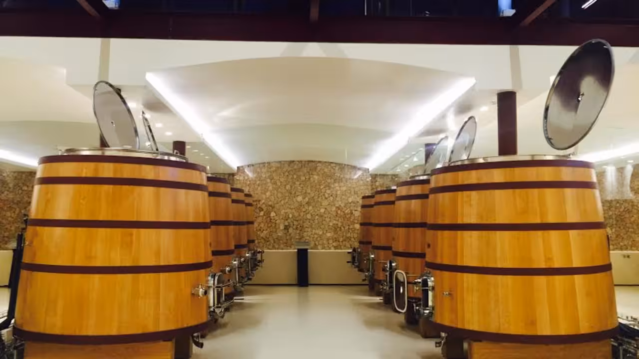 bodega son mayol
