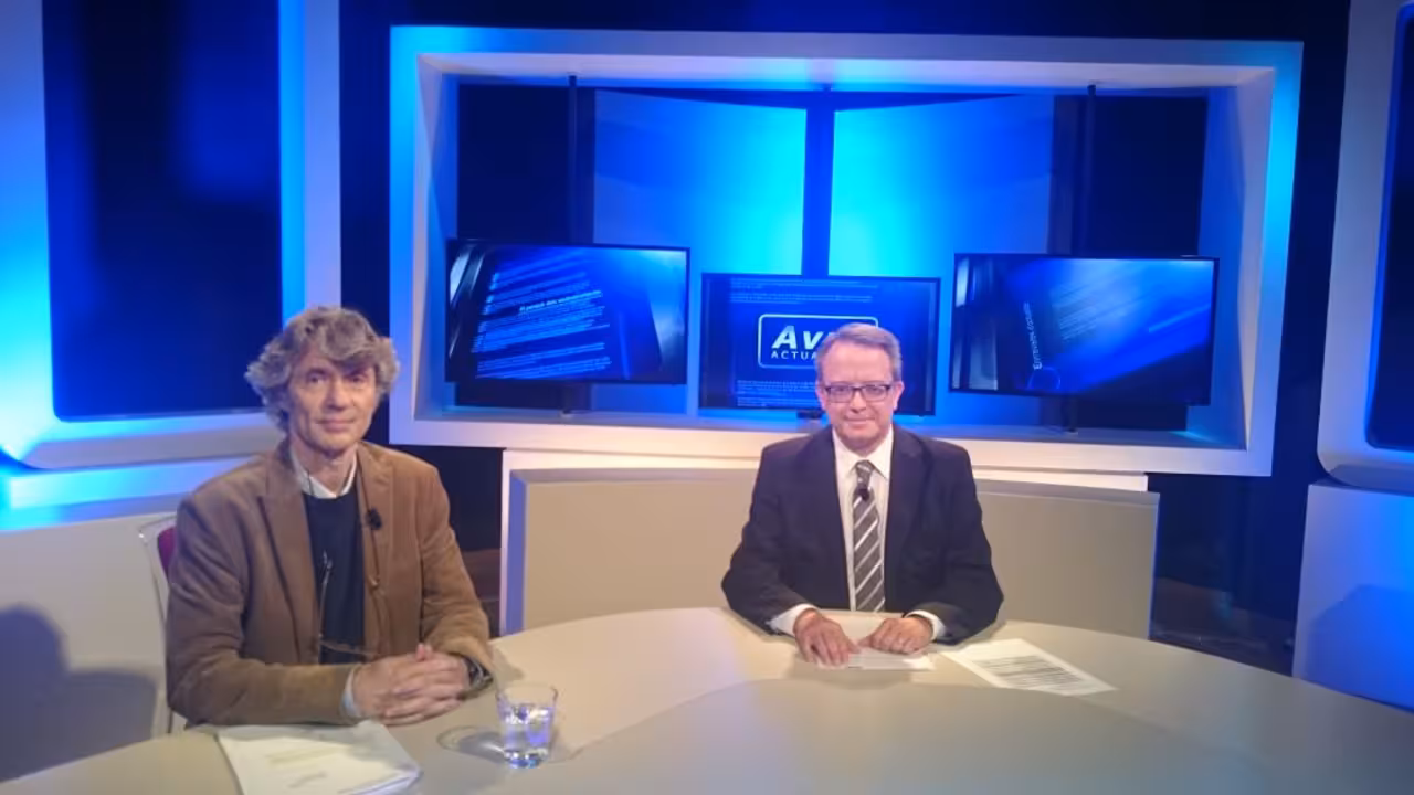 daniel bachiller|||bachiller y ramis|daniel bachiller||daniel bachiller
