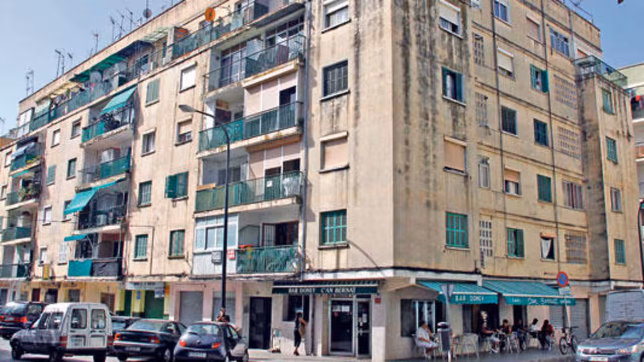 Son Gotleu|