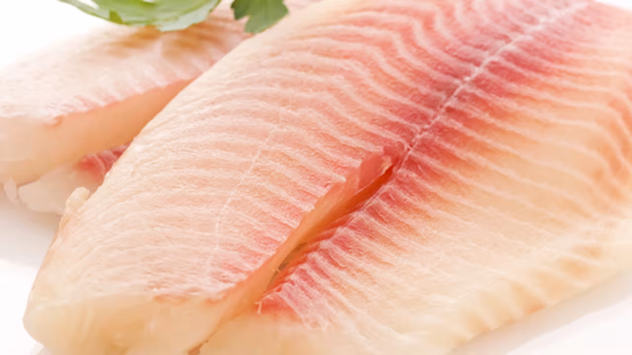 Tilapia