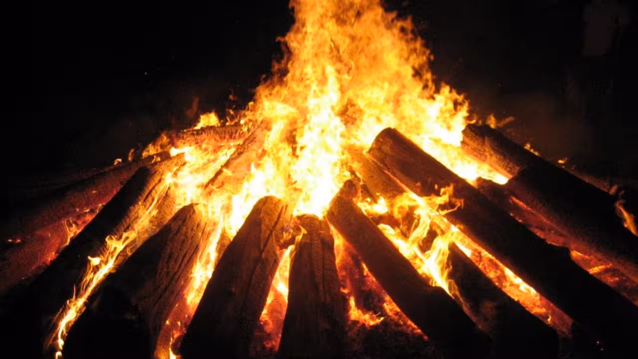 Prohibido hacer fuego en el bosque a partir del lunes