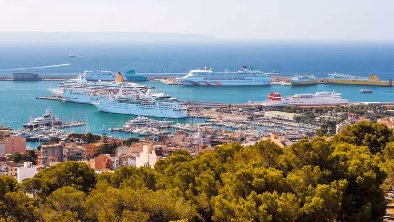 port de palma