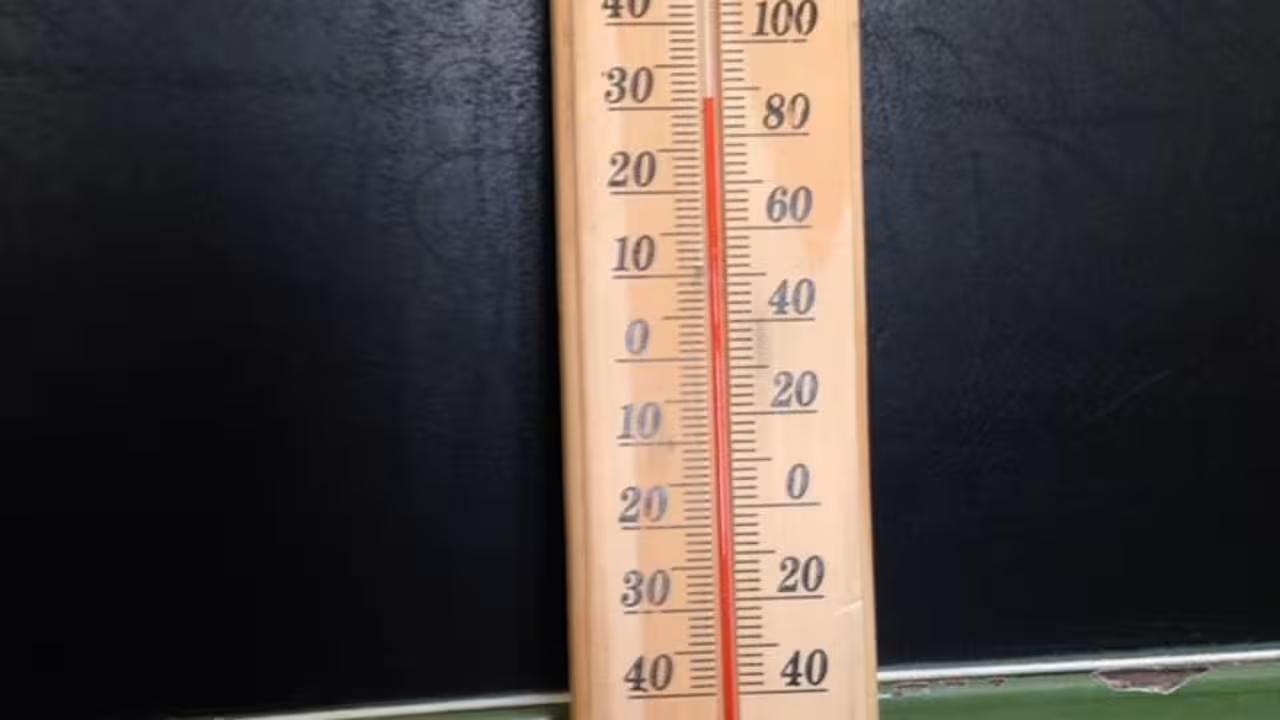 calor_Assemblea_de_Docents