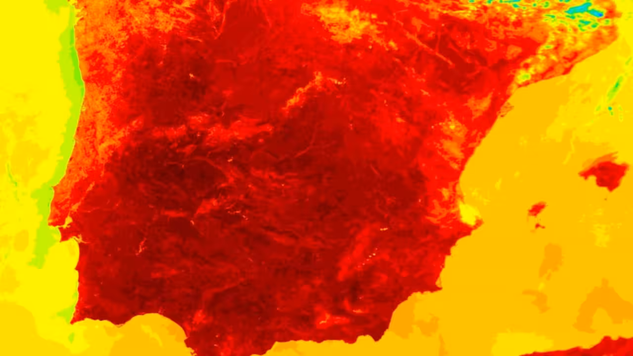 |calor