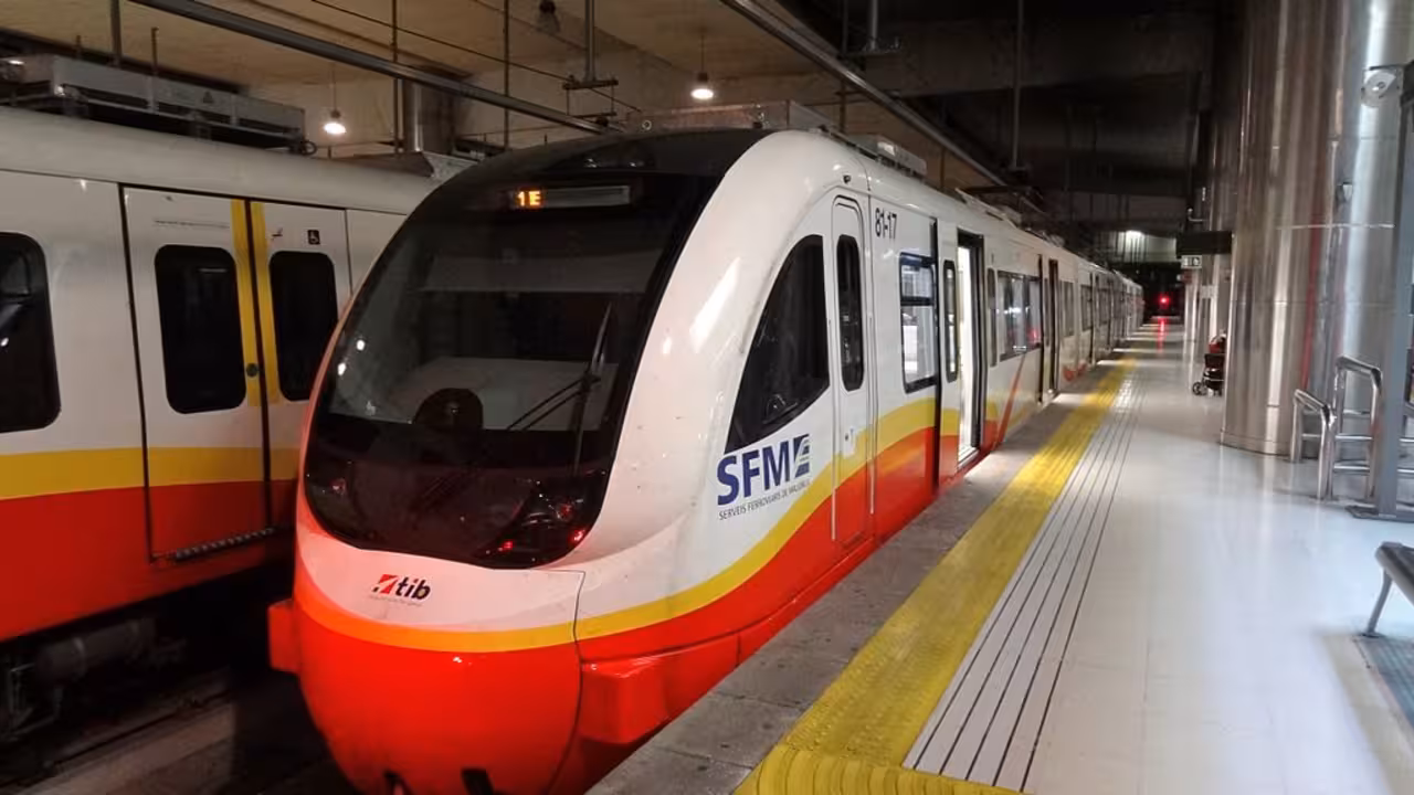 tren_SFM