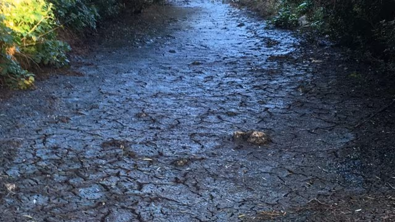 Torrent Solleric Sencelles