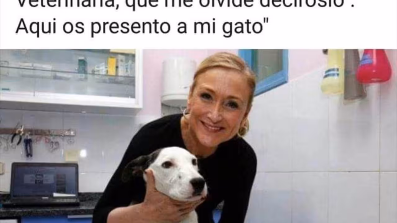 Cifuentes|Cifuentes||||||||