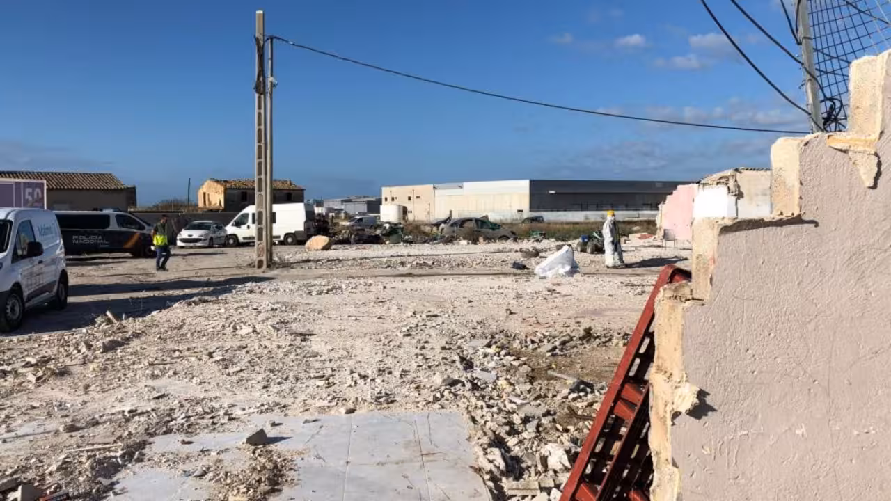Foto: Ajuntament de Palma