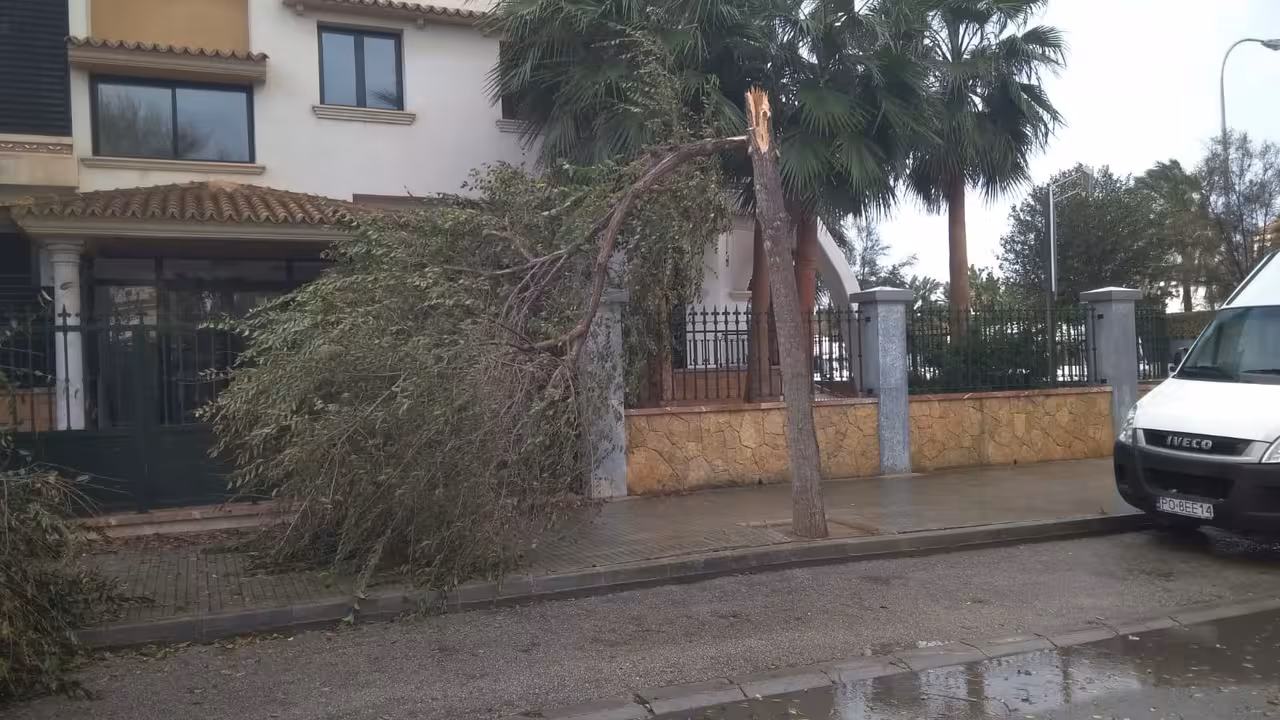 FOTO: Ajuntament de Palma
