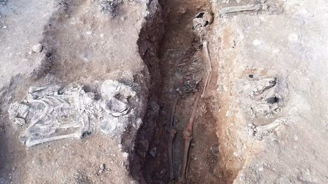 |