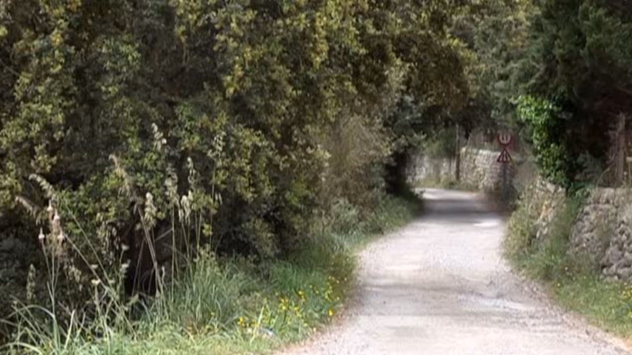 |