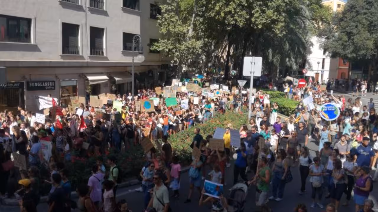 Fridays For Future|||