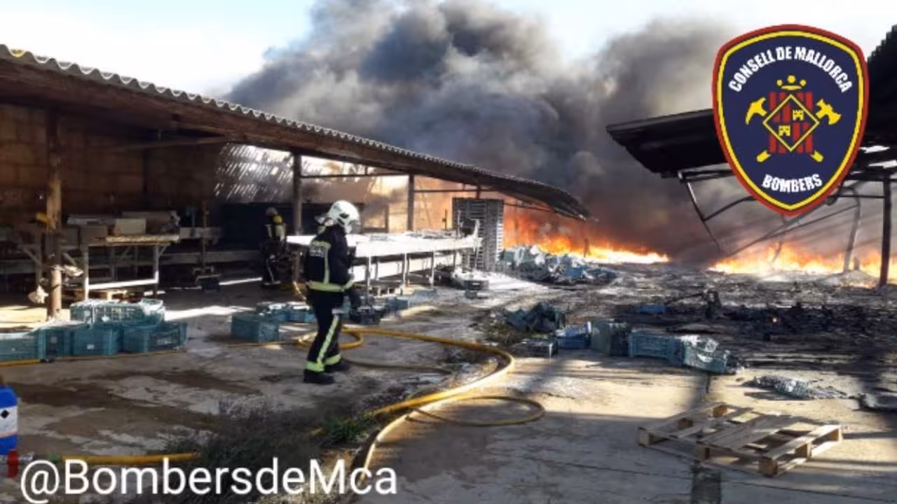bombers de mallorca|bombers de mallorca