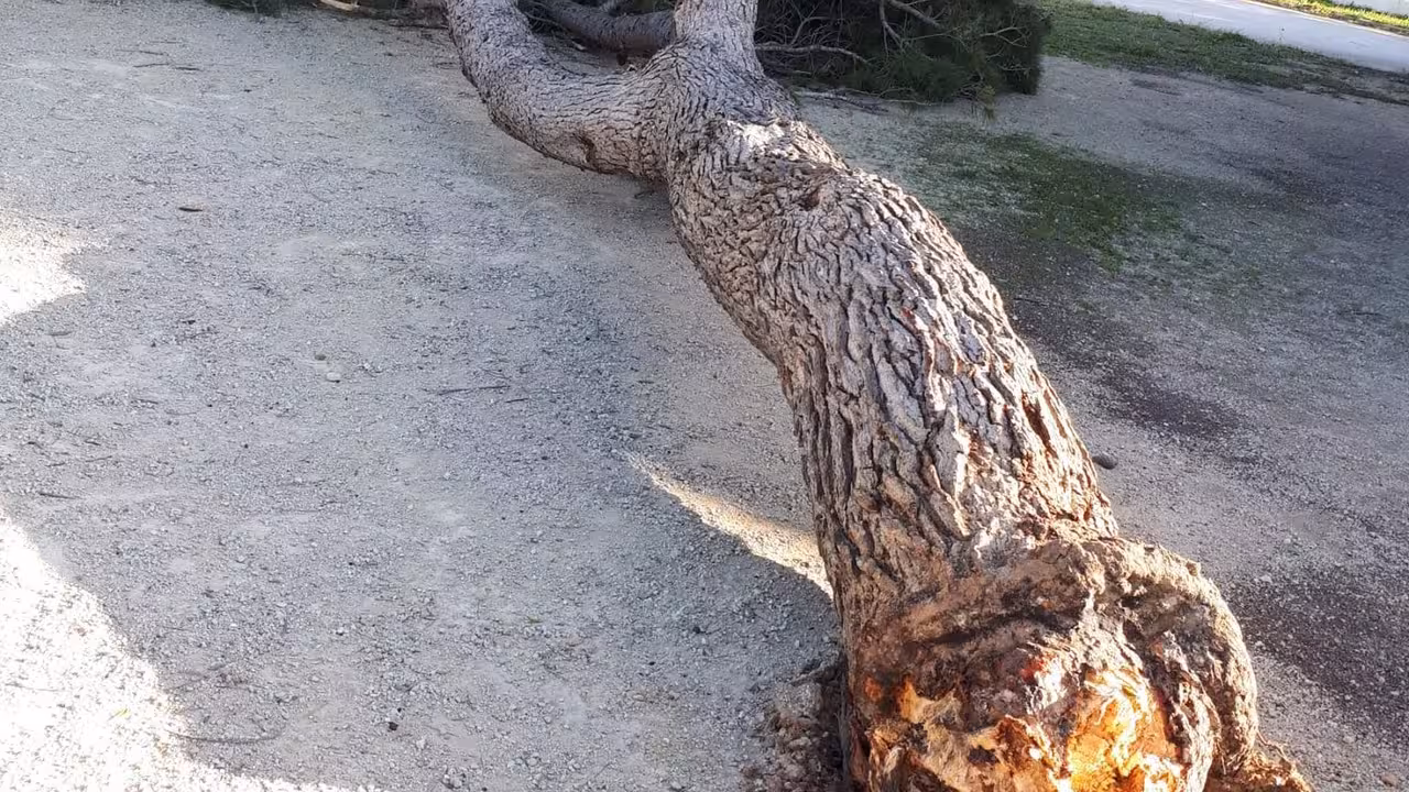 |