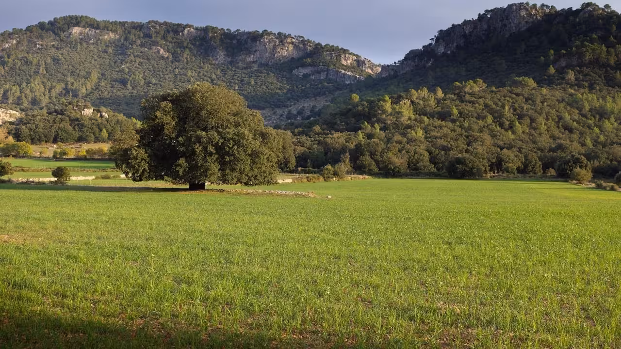 Serra de Tramuntana