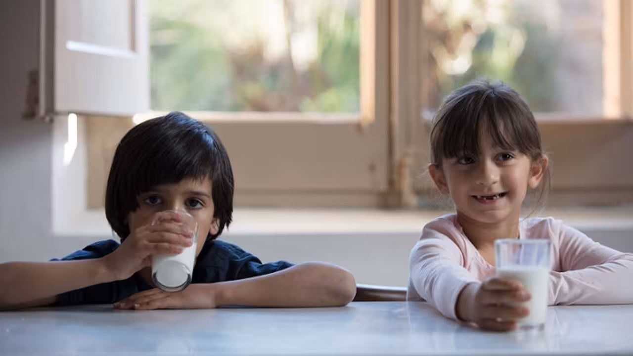 Niños con un vaso de leche.

La leche es uno de los alimentos más solicitados por las entidades sociales que atienden a colectivos en riesgo de exclusión. Ante esta realidad, la Obra Social "la Caixa" pone en marcha la tercera edición de la campaña de recogida de leche en favor de los bancos de alimentos "Ningún niño sin bigote". 

La campaña incluye una recogida física en las 5.097 oficinas de CaixaBank en todo el territorio y los centros asociados a la Obra Social "la Caixa" para la recogida de leche en esta tercera edición de la campaña, de dos semanas de duración, del 12 al 23 de junio de 2017. 

Al final de la campaña, la cifra final fue de 1.200.659 litros de leche recaudados.