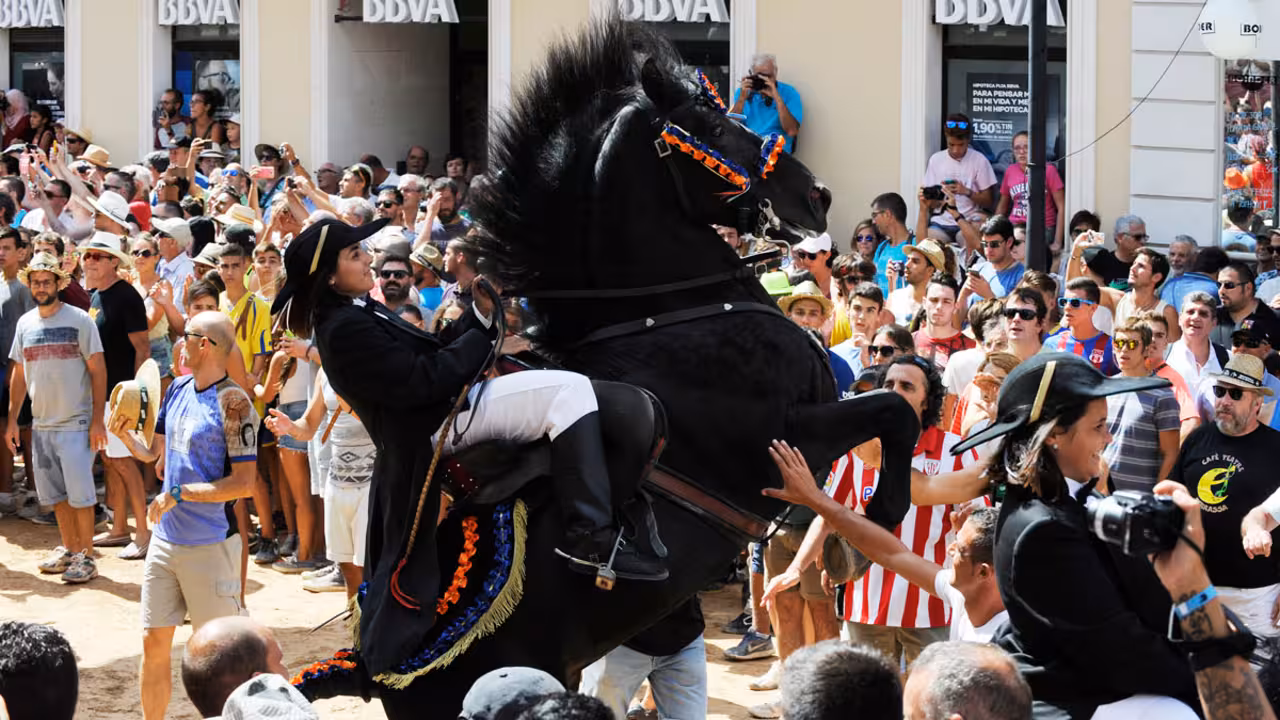 jaleo festes de la mare de deu de gracia