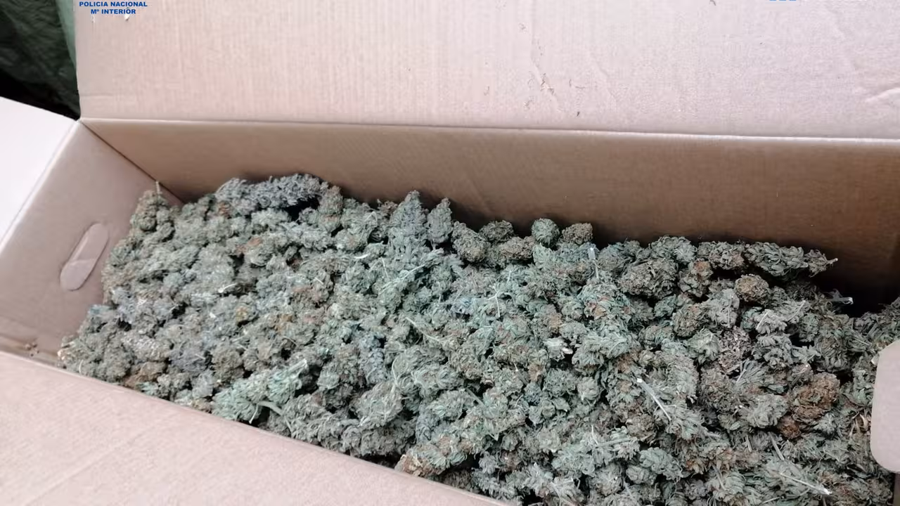 09/09/2020 Marihuana dispuesta para su venta incautada en el operativo..