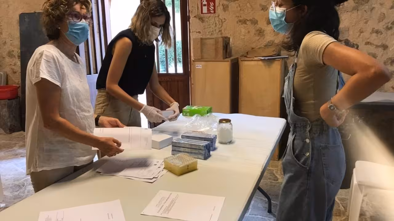 POLITICA ESPAÑA EUROPA ISLAS BALEARES AUTONOMÍAS