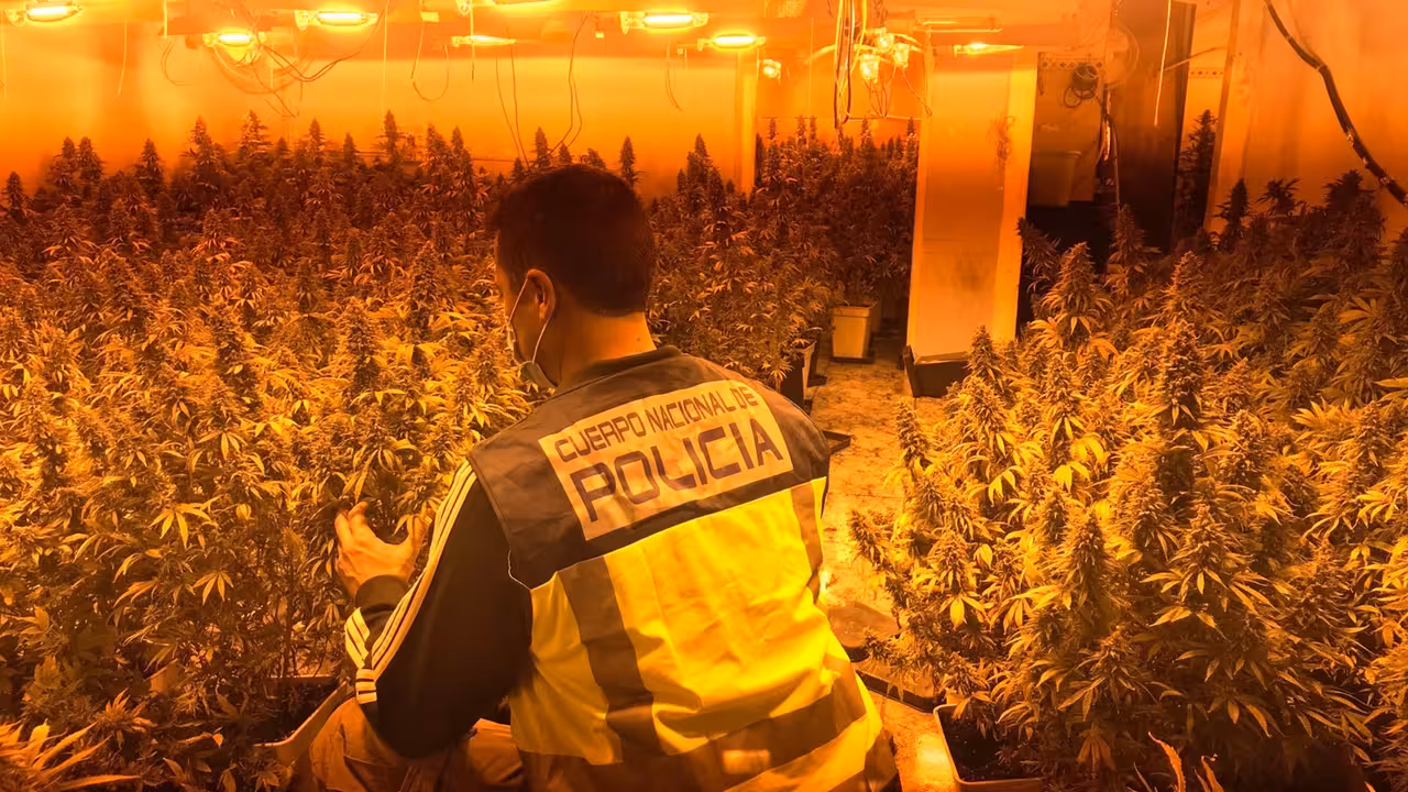 18/11/2020 La Policía Nacional Detiene A Cuatro Personas Por Un Delito Contra El Tráfico De Drogas.

Agentes de la Policía Nacional han desmantelado uno de los principales centros de distribución de marihuana a otros narcotraficantes en Palma, durante un operativo que se ha saldado con cuatro detenidos como presuntos autores de un delito contra la salud pública y defraudación de fluido eléctrico.

SOCIEDAD 
POLICÍA