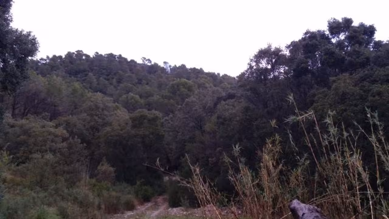 28/11/2020 Zona de Can Sureda, en Pollença (Mallorca), donde se ha declarado el incendio a causa de un rayo.
SOCIEDAD ESPAÑA EUROPA ISLAS BALEARES AUTONOMÍAS
IBANAT