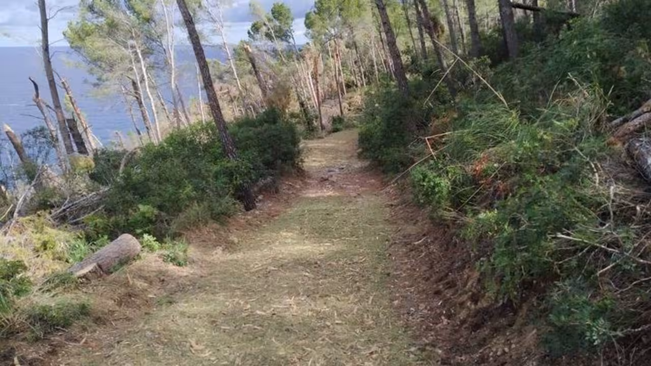 05/12/2020 Camí de la Volta del General
POLITICA ESPAÑA EUROPA ISLAS BALEARES AUTONOMÍAS
CAIB