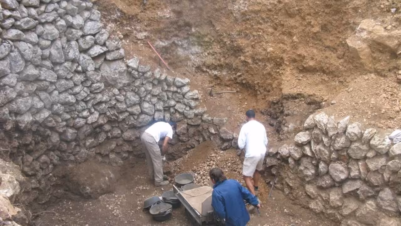 09/01/2021 Un grupo de margers trabajando.
POLITICA ESPAÑA EUROPA ISLAS BALEARES AUTONOMÍAS
CONSELL DE MALLORCA