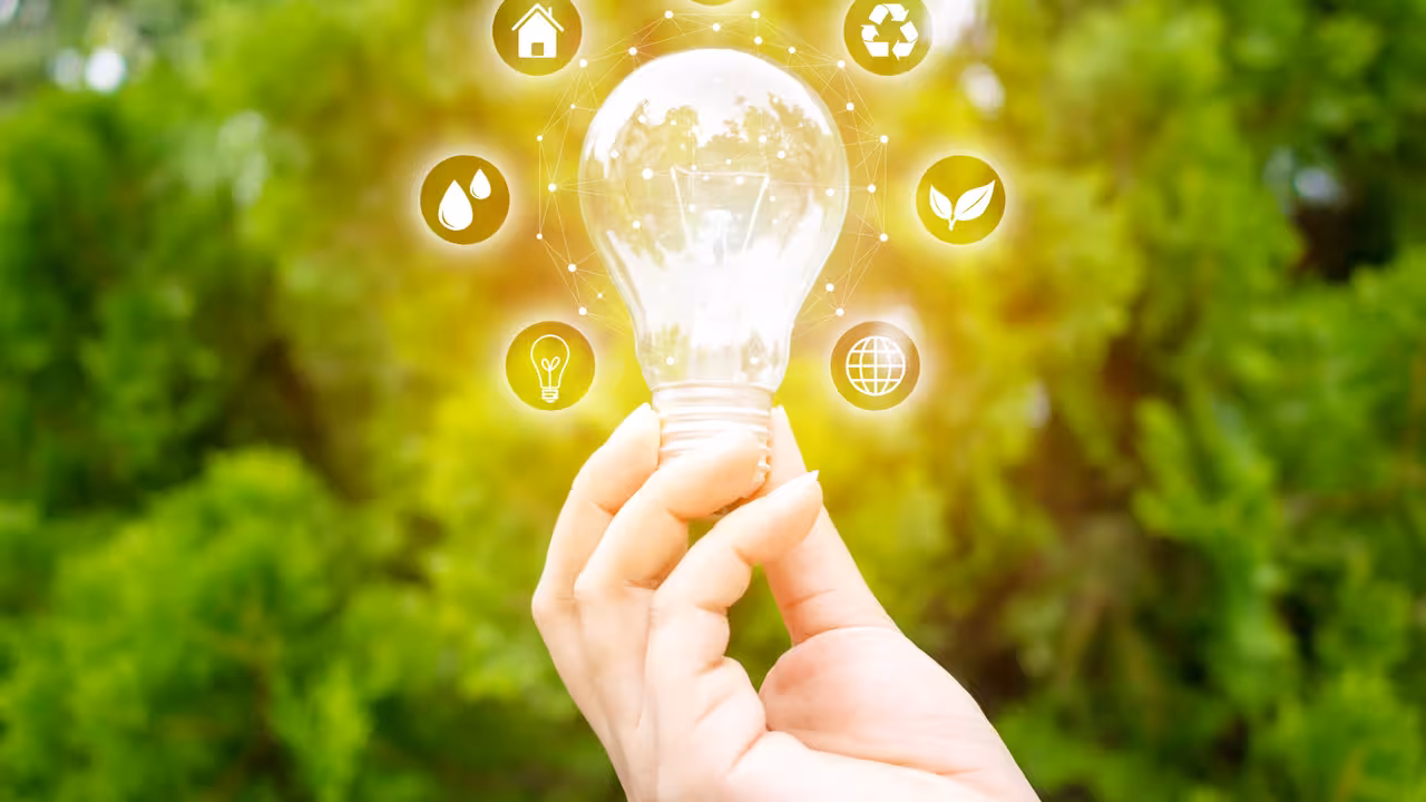 Concept save energy efficiency. Hand holding light bulb with icon on blurred tree background