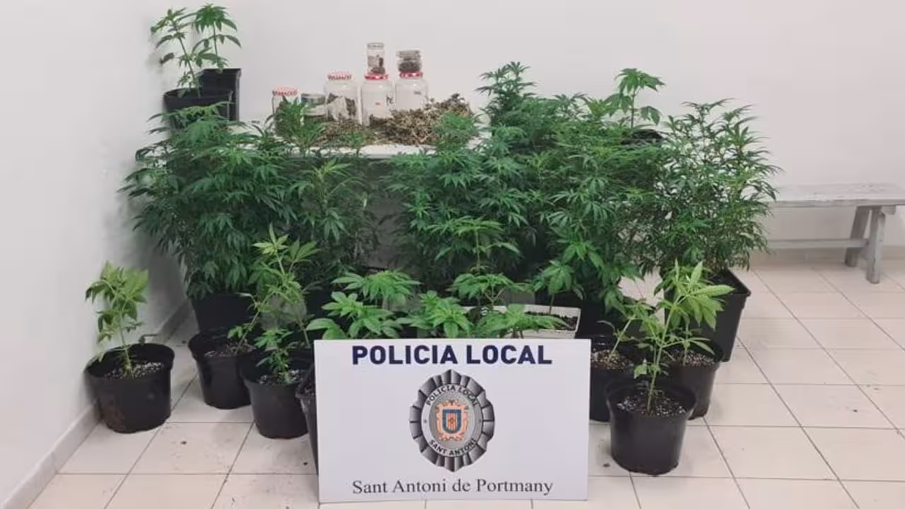 21/03/2021 Plantas incautadas a los detenidos en Sant Antoni (Ibiza).
SOCIEDAD ESPAÑA EUROPA ISLAS BALEARES AUTONOMÍAS
AYUNTAMIENTO DE SANT ANTONI