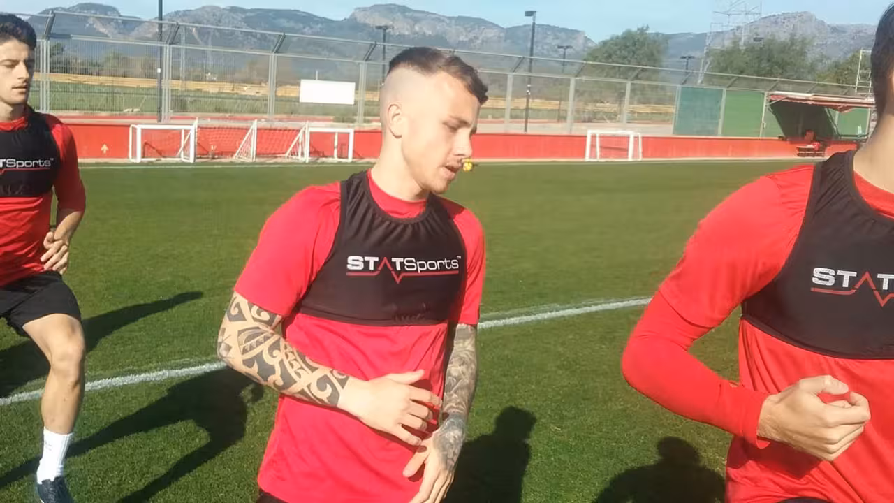 Angelino