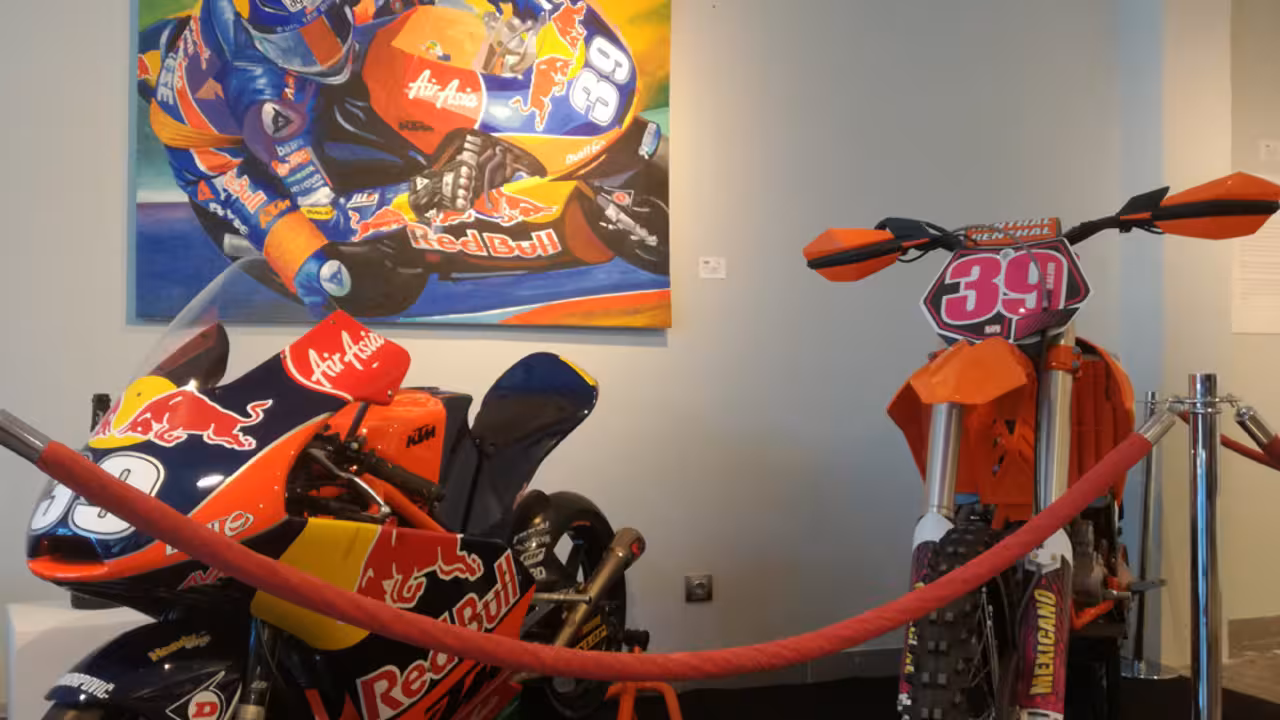 Exposición de Luis Salom en el Palma Arena