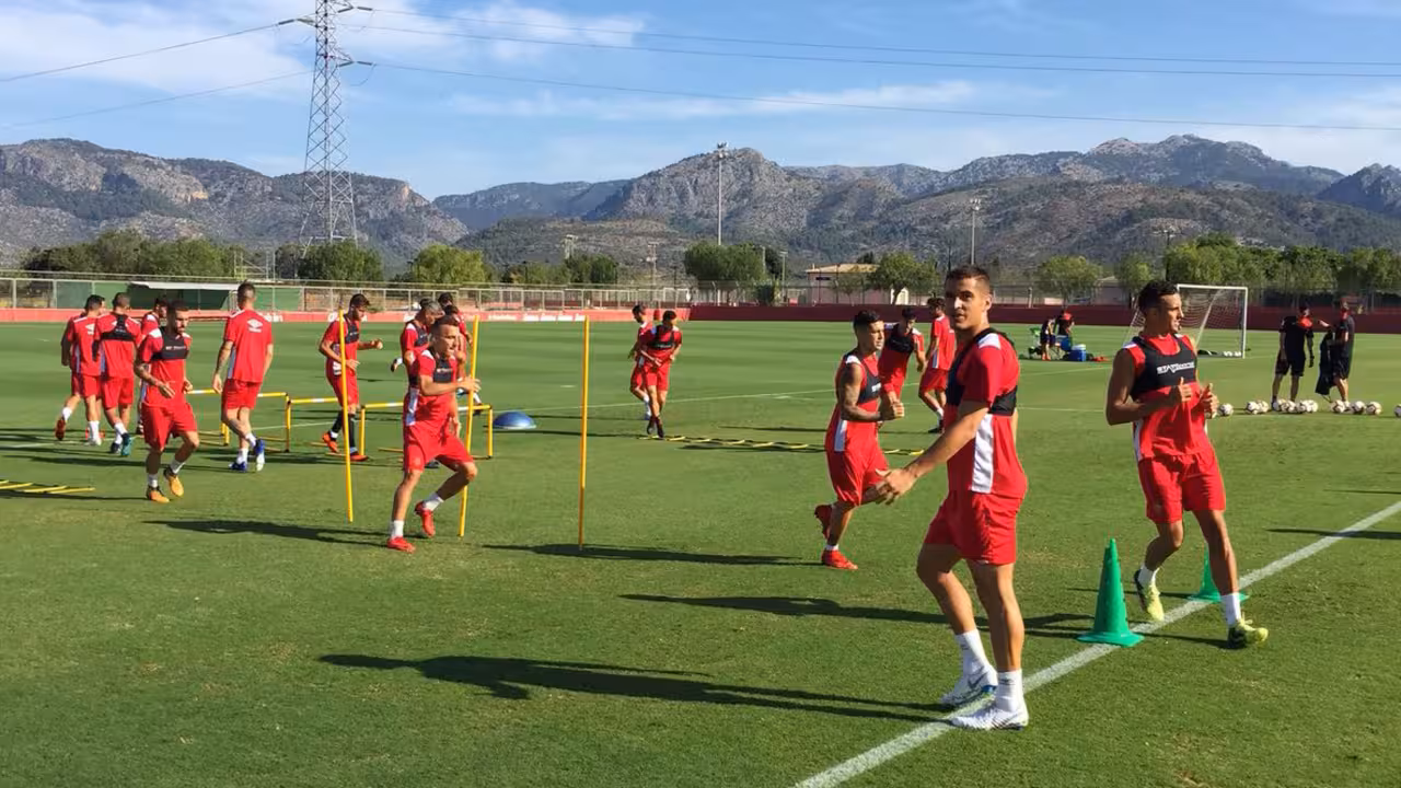 Mallorca en Son Bibiloni
