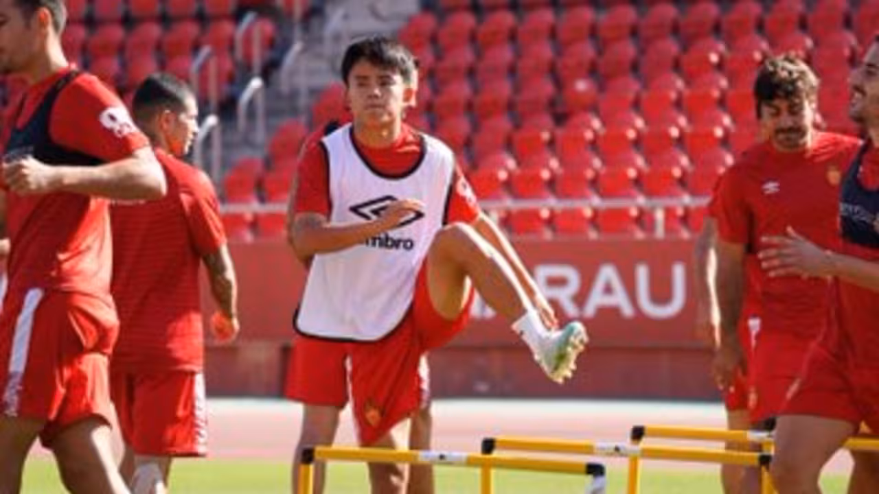 Kubo en Son Moix