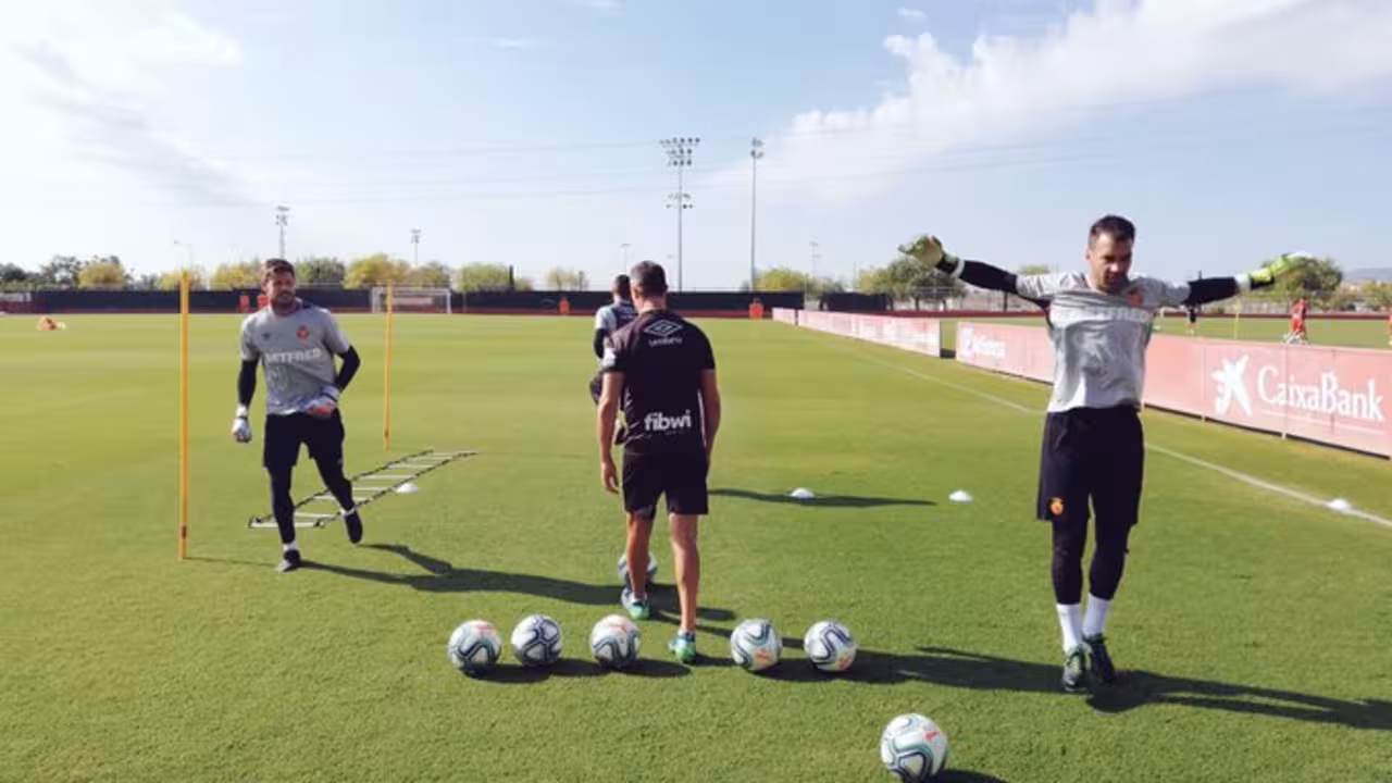 Reina, Fabrico y Parera en Son Bibiloni