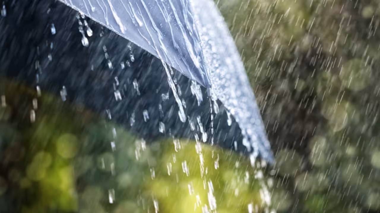 dia lloviendo y paraguas