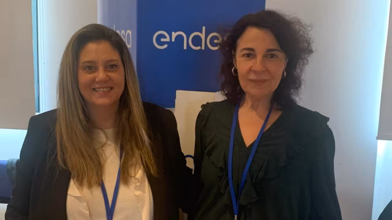 Endesa_Palma Activa-4