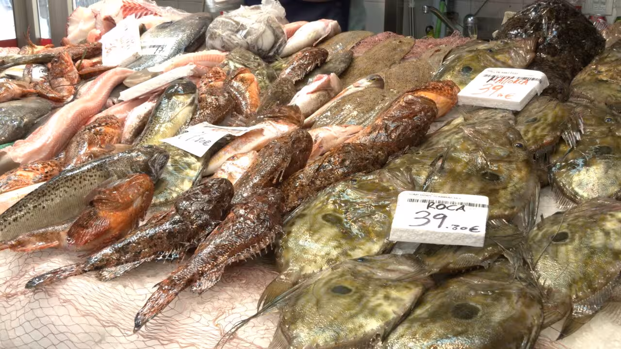 E_Pescado marisco Balear_sebas