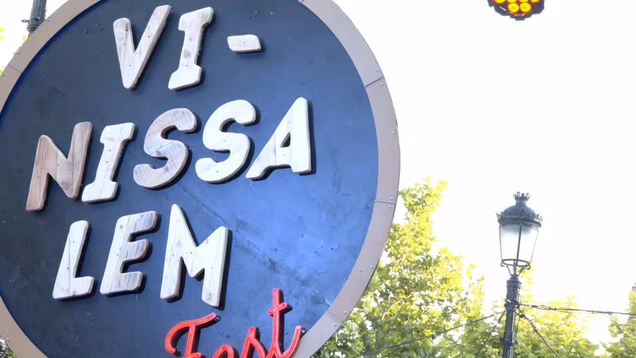 E_Vinissalem Fest