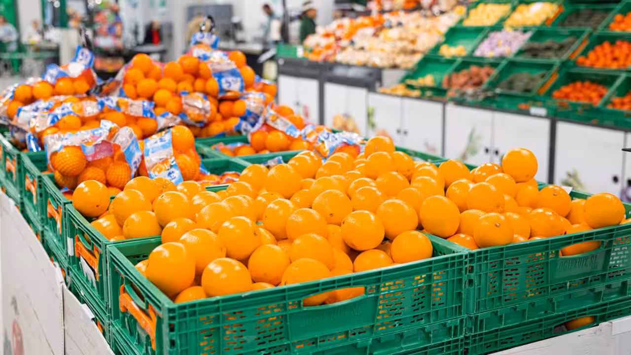 251110_Naranja Nacional_FOTO 01_NdP_2000x1200px