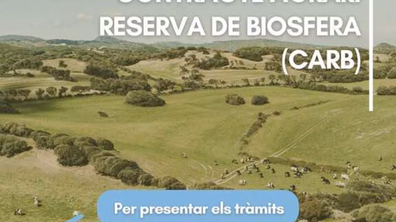 6c108513-633c-4295-b1aa-4b06bf91671d