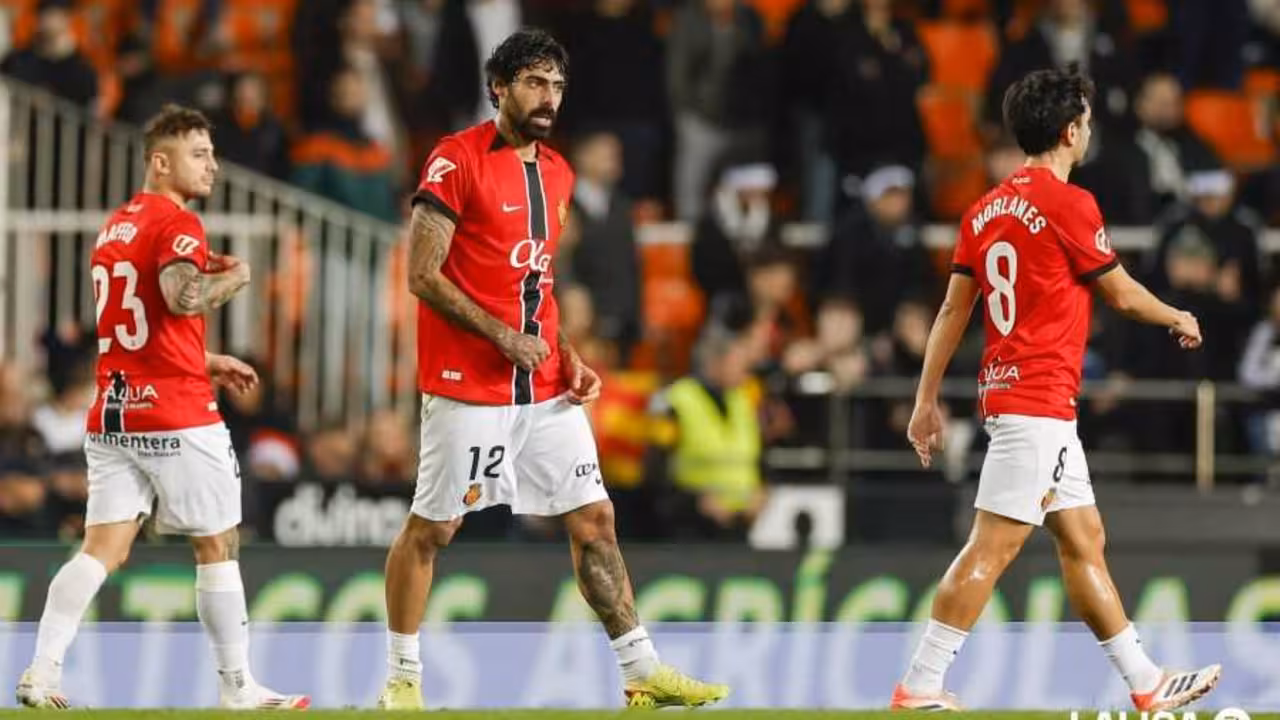 681f05a342ea022bbe6667adf3ec88e0