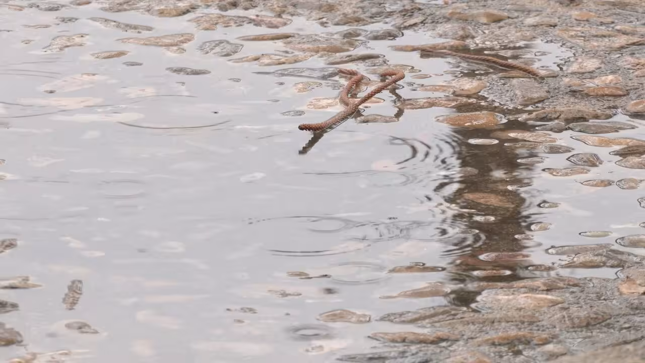 C_Emergencias mal tiempo